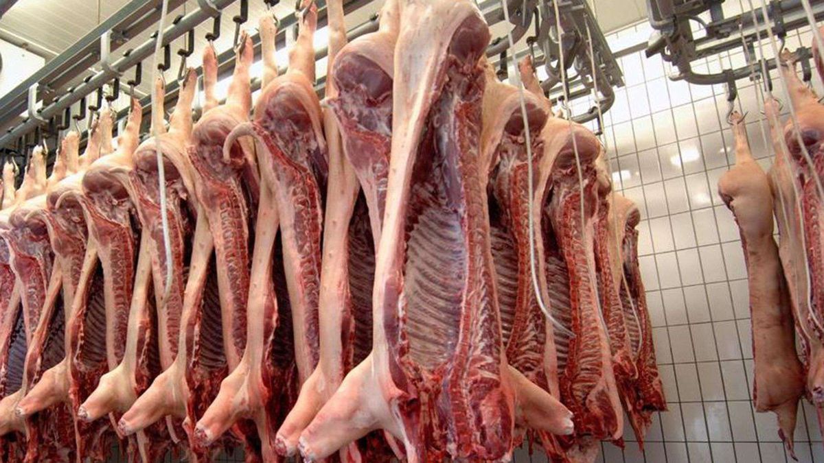 Paraguay Primera Exportaci N De Carne A Eeuu En Diciembre